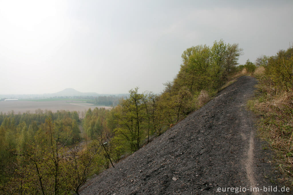 Detailansicht von Auf der Halde des Carl-Alexander-Parks, Baesweiler