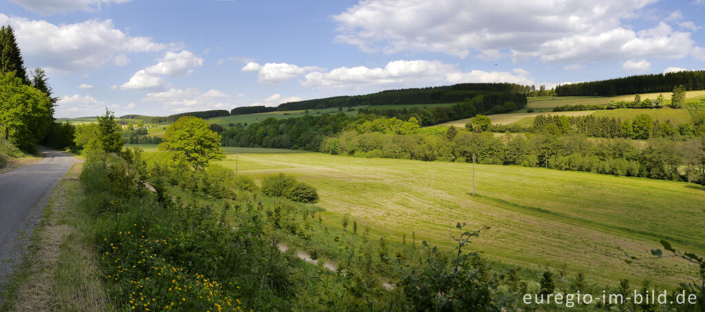 Detailansicht von Auf der Ourtal-Route