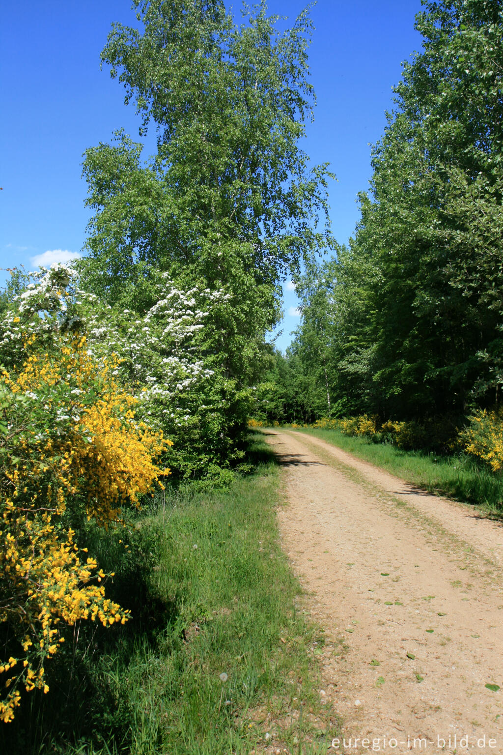 Detailansicht von Auf der Sophienhöhe