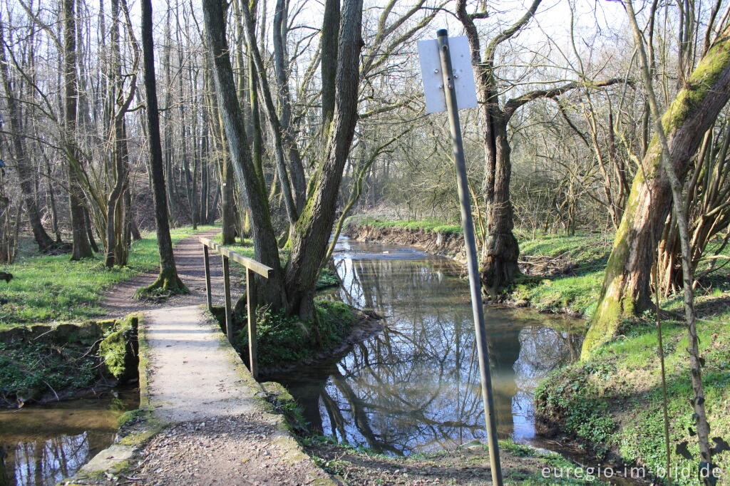 Auf der "Via Gulia" zwischen  Eynatterheide und Hergenrath