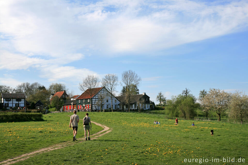 Detailansicht von Auf der "Via Gulia" zwischen  Eynatterheide und Hergenrath, Belgien