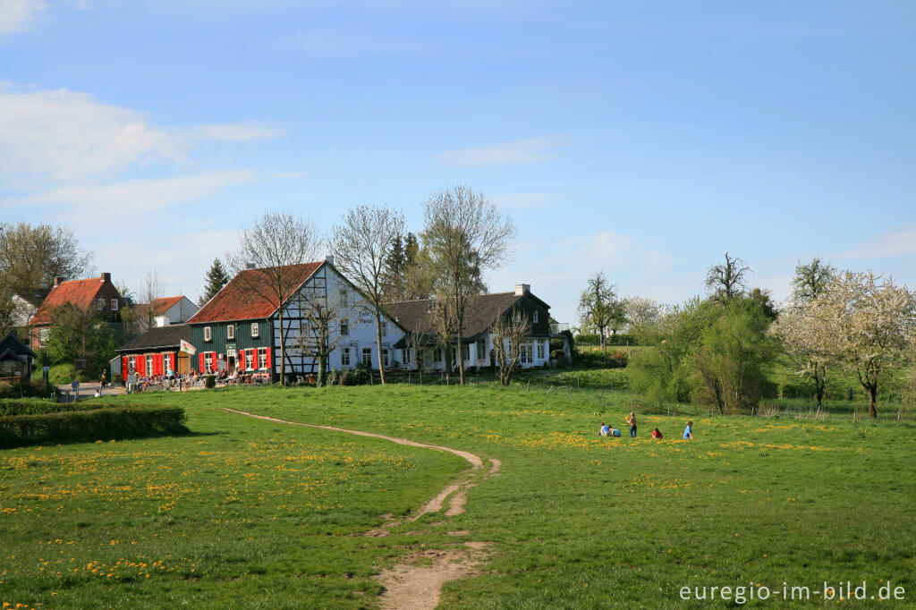 Detailansicht von Auf der "Via Gulia" zwischen  Eynatterheide und Hergenrath