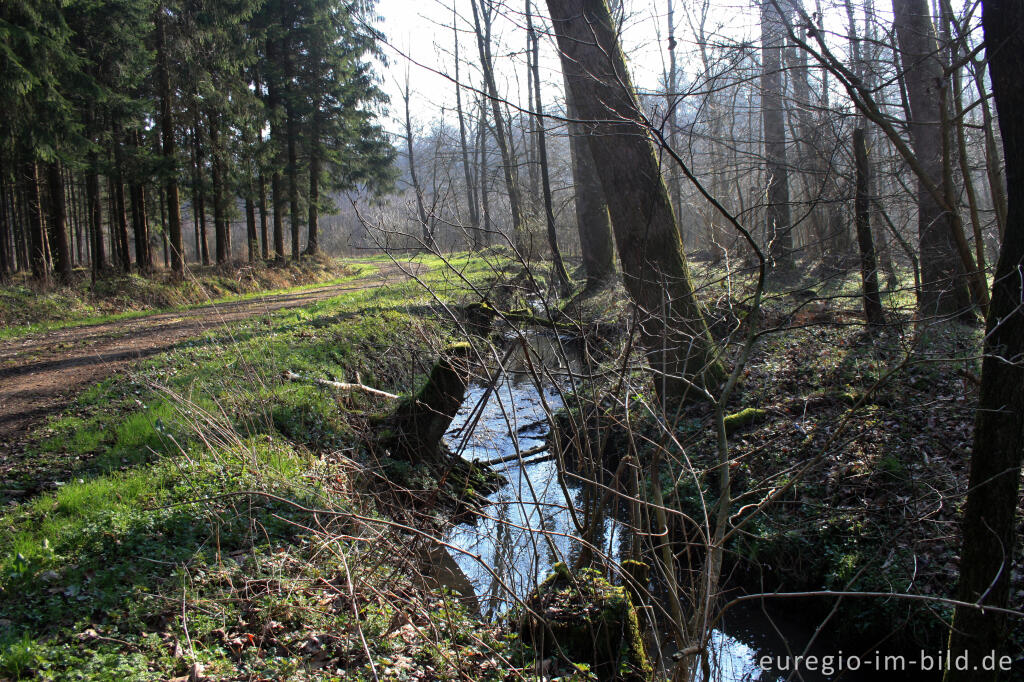 Auf der "Via Gulia" zwischen Lichtenbusch und  Eynatterheide, Belgien