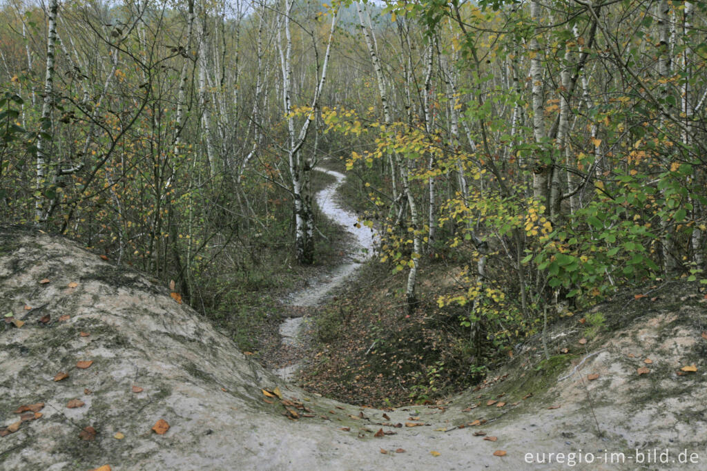 Detailansicht von Auf der weißen Kalkhalde, Wurmtal bei Würselen