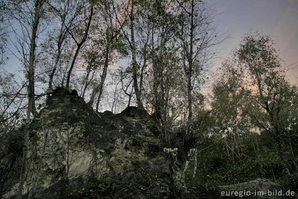 Detailansicht von Auf der weißen Kalkhalde, Wurmtal bei Würselen