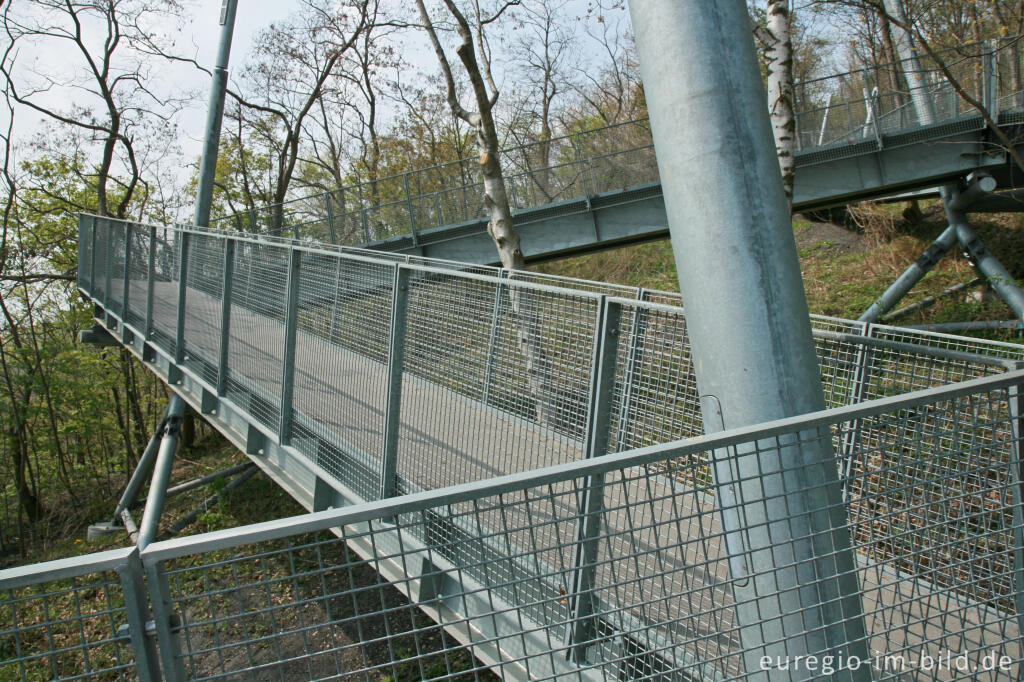 Detailansicht von Aufstieg zum Bergplateau des Carl-Alexander-Parks