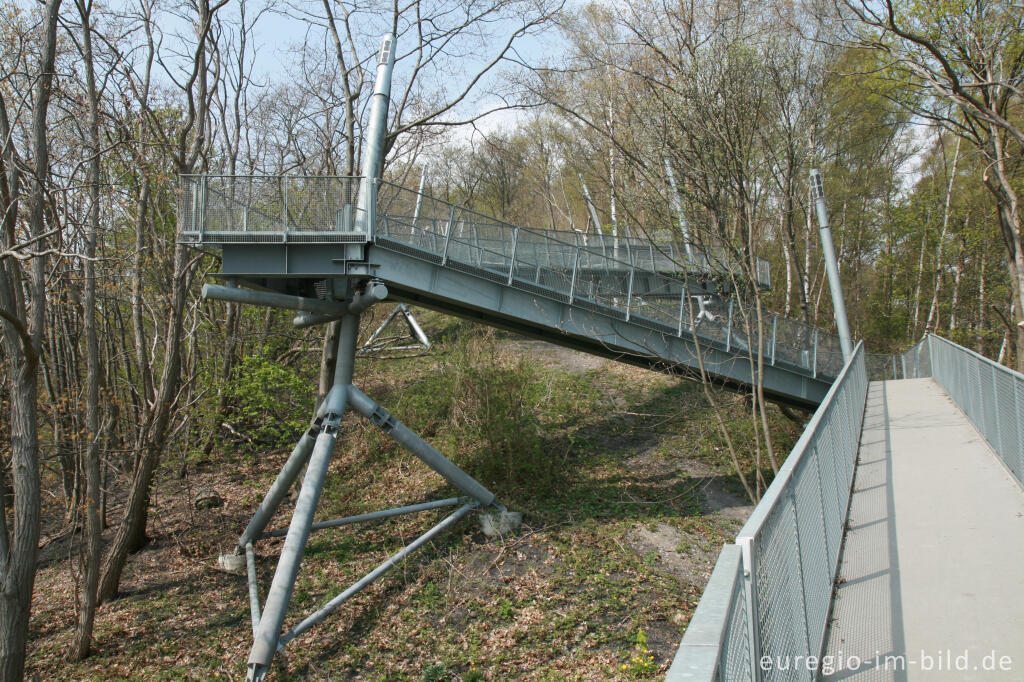 Detailansicht von Aufstieg zum Bergplateau des Carl-Alexander-Parks