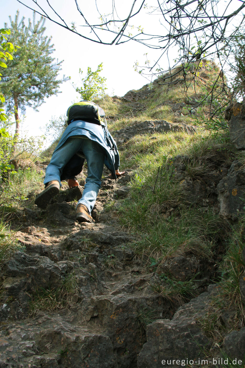 Detailansicht von Aufstieg zum Gipfel des Aubergs, Naturschutzgebiet Gerolsteiner Dolomiten