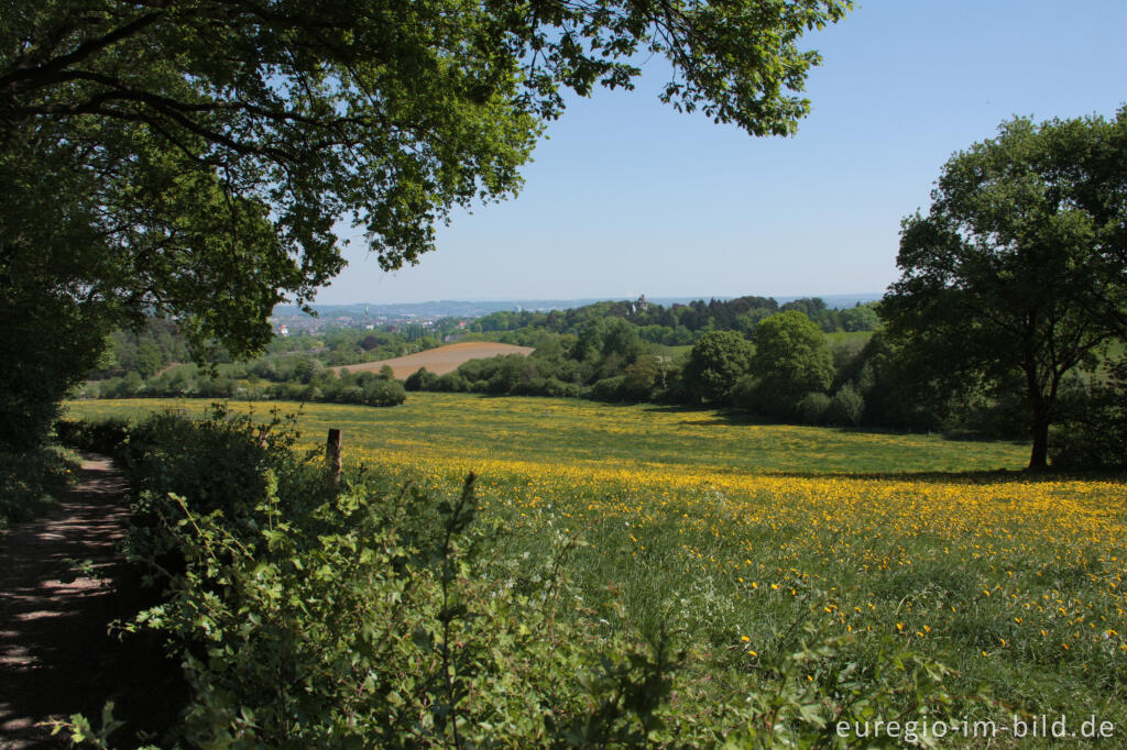 Detailansicht von Ausblick vom Philippionsweg bei Aachen-Hanbruch