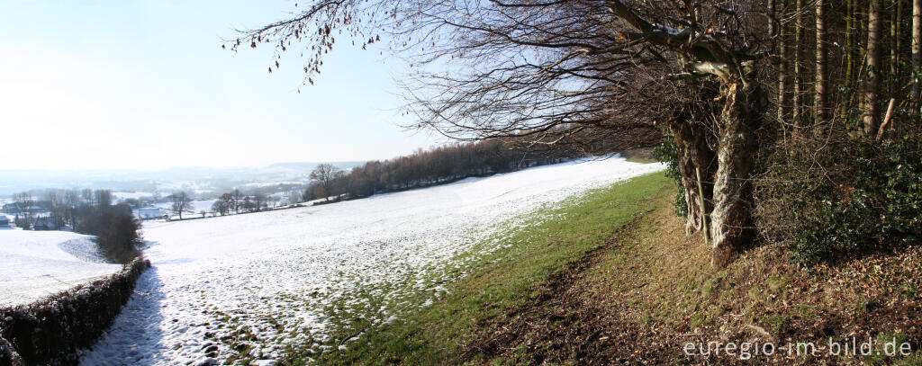 Detailansicht von Aussicht vom Südhang des Schimperbos, westlich von Gemmenich, B