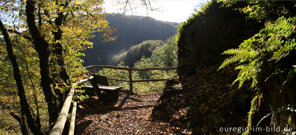 Aussichtspunkt auf dem Lieserpfad / Eifelsteig, südlich von Manderscheid