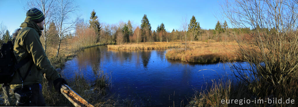 Detailansicht von Aussichtsturm bei einem Moorauge (Lithalsen)