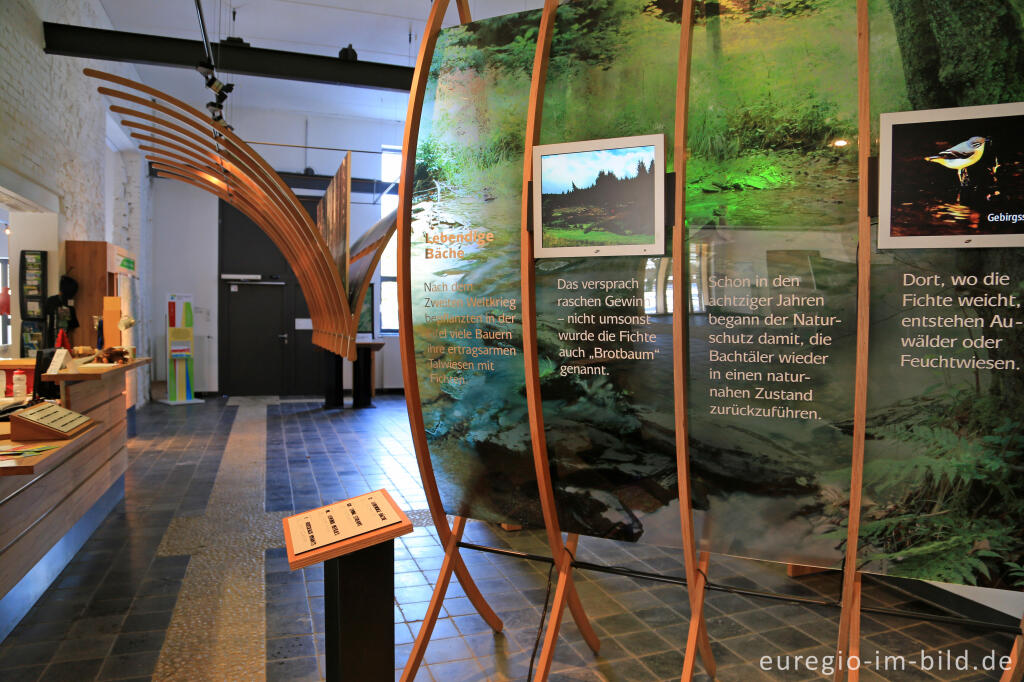 Detailansicht von Ausstellung im Nationalpark-Tor in Höfen