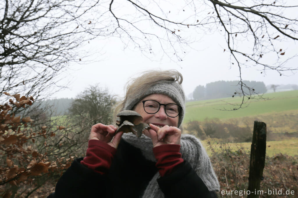 Detailansicht von Austernseitling - Pilzglück im Winter