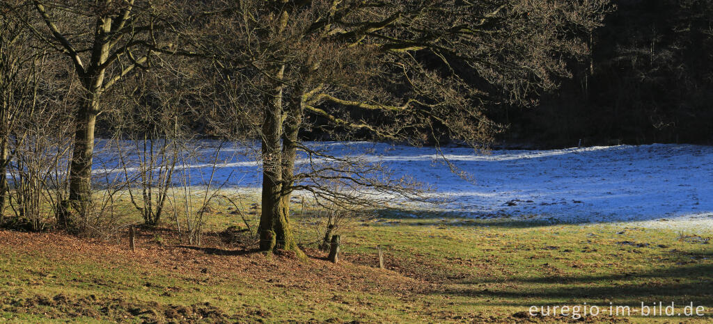 Detailansicht von Auwiese beim Keltzerbach, "Dorfrundgang Lammersdorf"