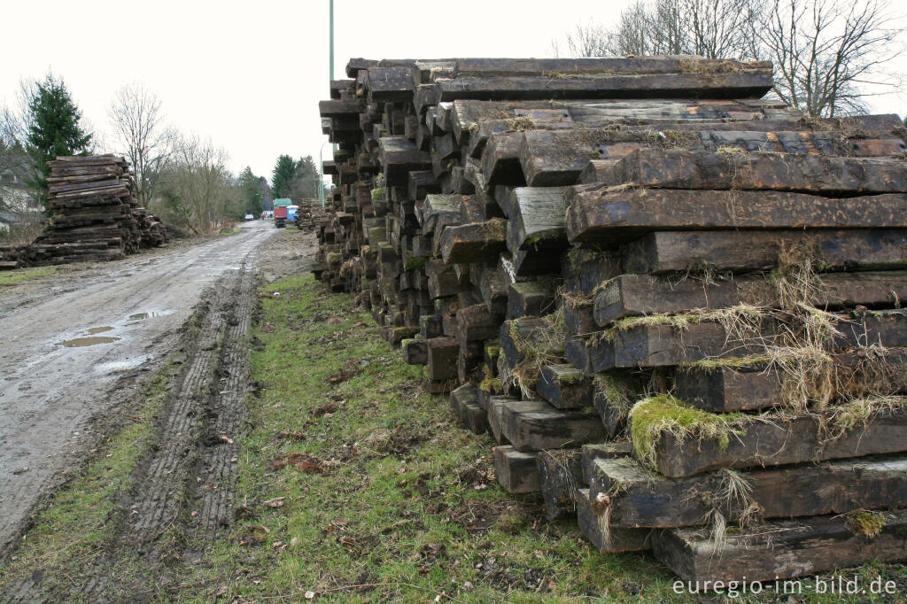 Detailansicht von Bahnschwellen der Vennbahntrasse, Eifelsteig, 1. Etappe 