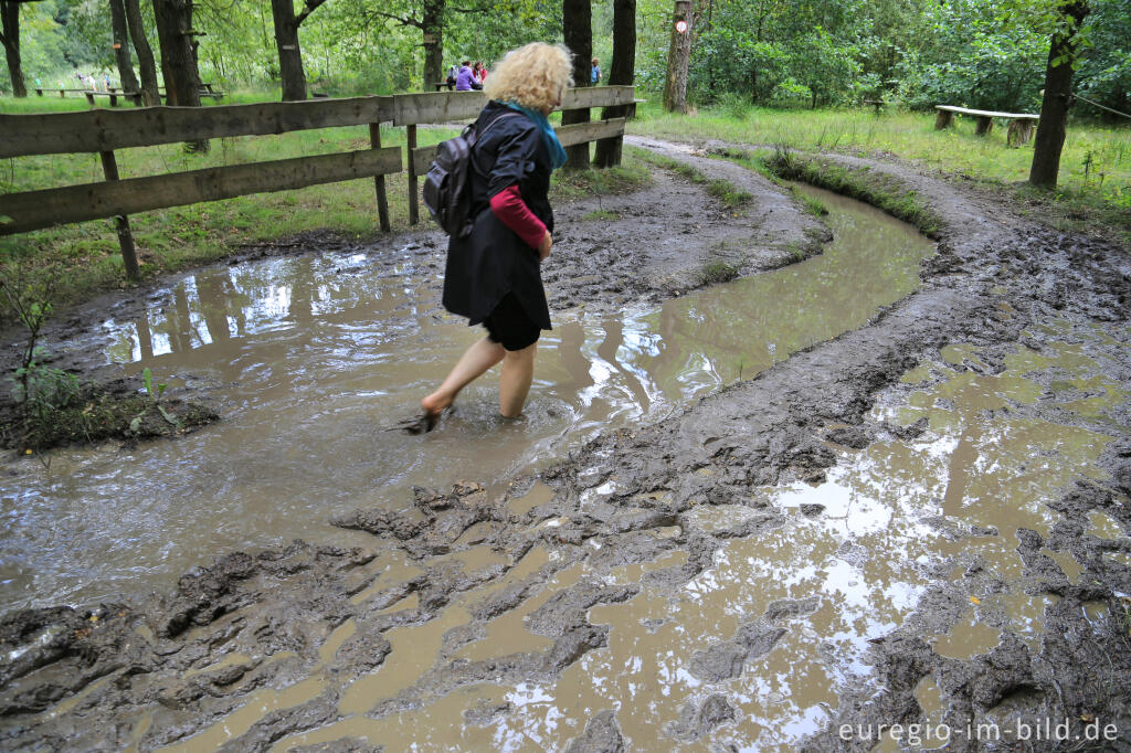 Detailansicht von Barfuß im Schutterspark in Brunssum