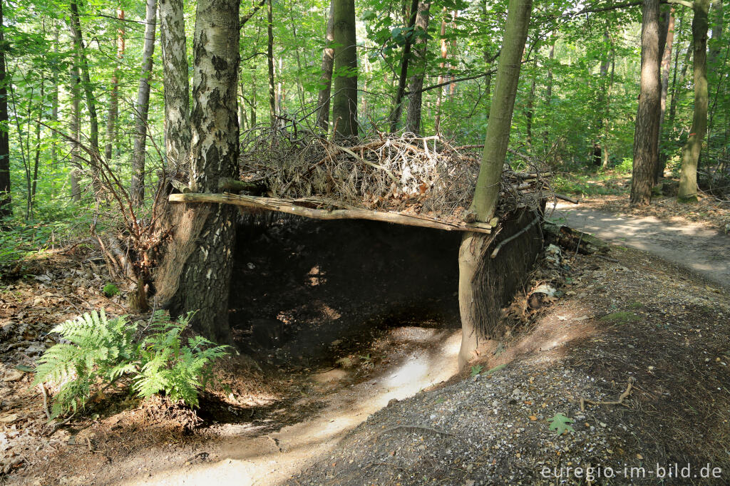 Detailansicht von Barfuß im Schutterspark in Brunssum