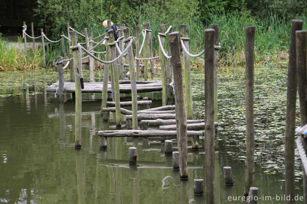 Detailansicht von Barfuß im Schutterspark in Brunssum