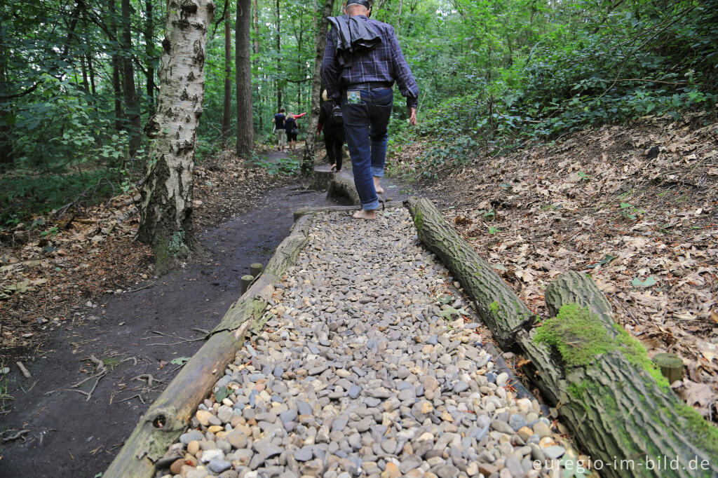 Detailansicht von Barfuß im Schutterspark in Brunssum