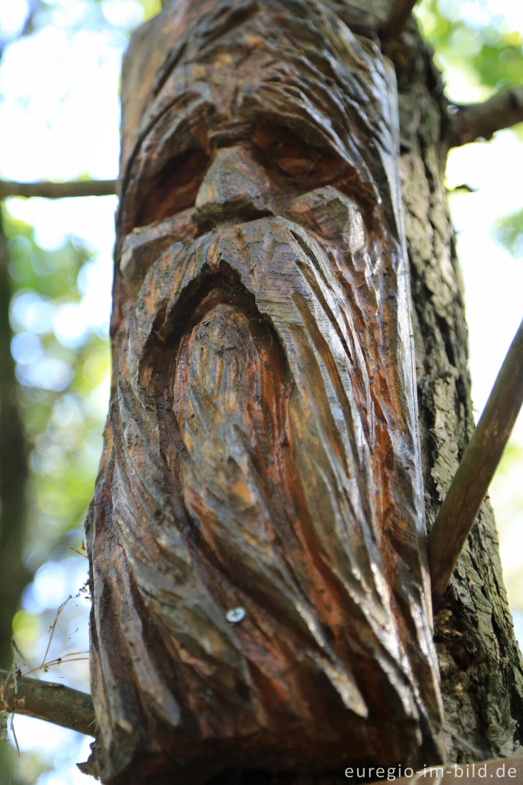 Detailansicht von Barfuß im Schutterspark in Brunssum