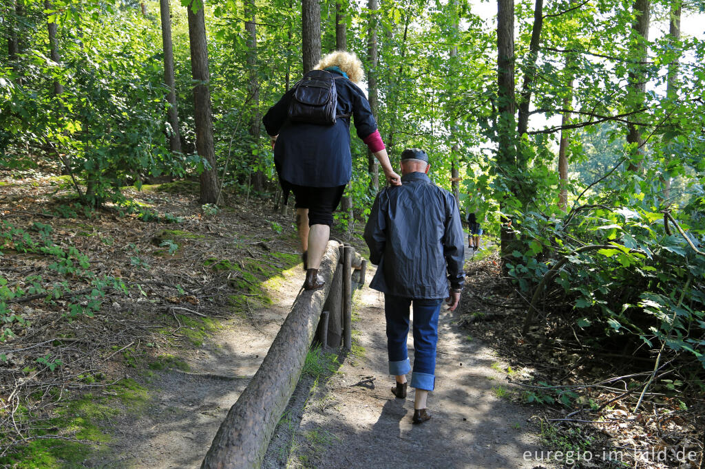 Detailansicht von Barfuß im Schutterspark in Brunssum