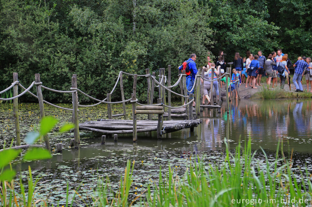 Detailansicht von Barfuß im Schutterspark in Brunssum