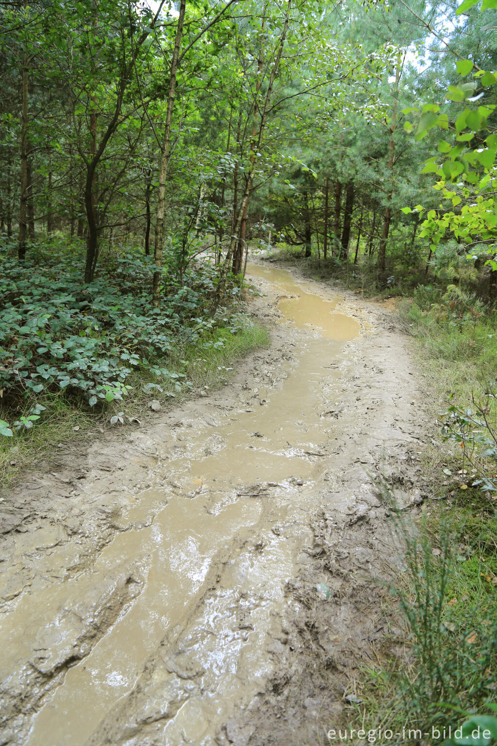 Detailansicht von Barfuß im Schutterspark in Brunssum