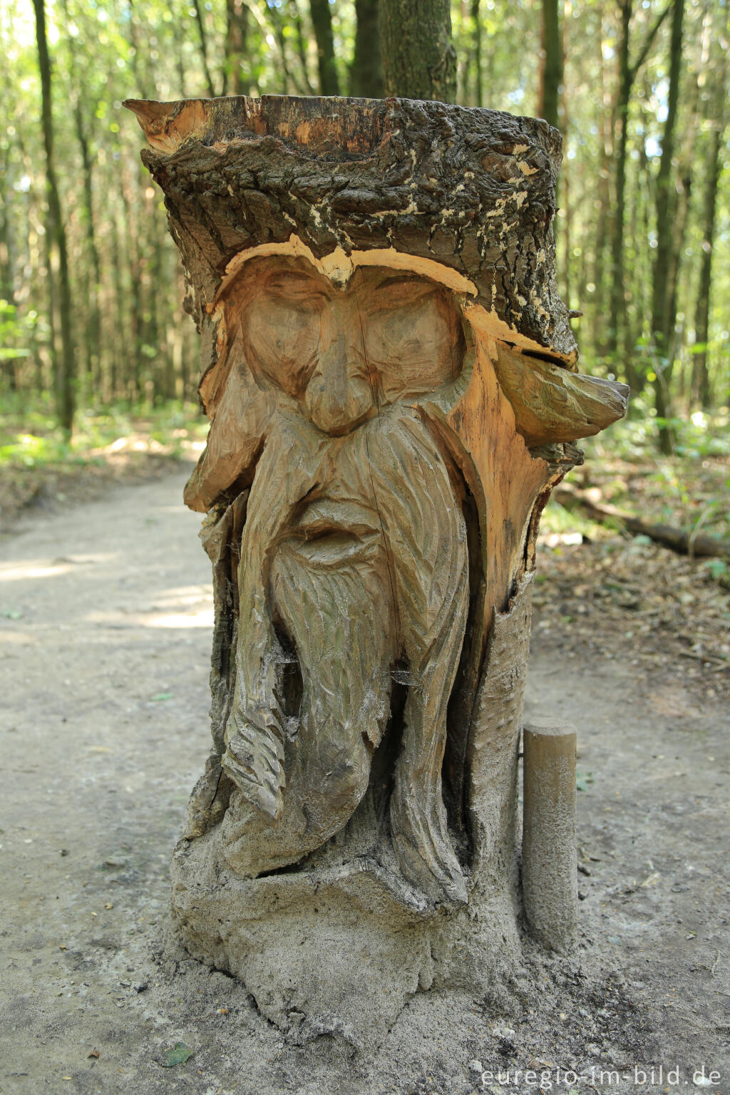 Detailansicht von Barfuß im Schutterspark in Brunssum