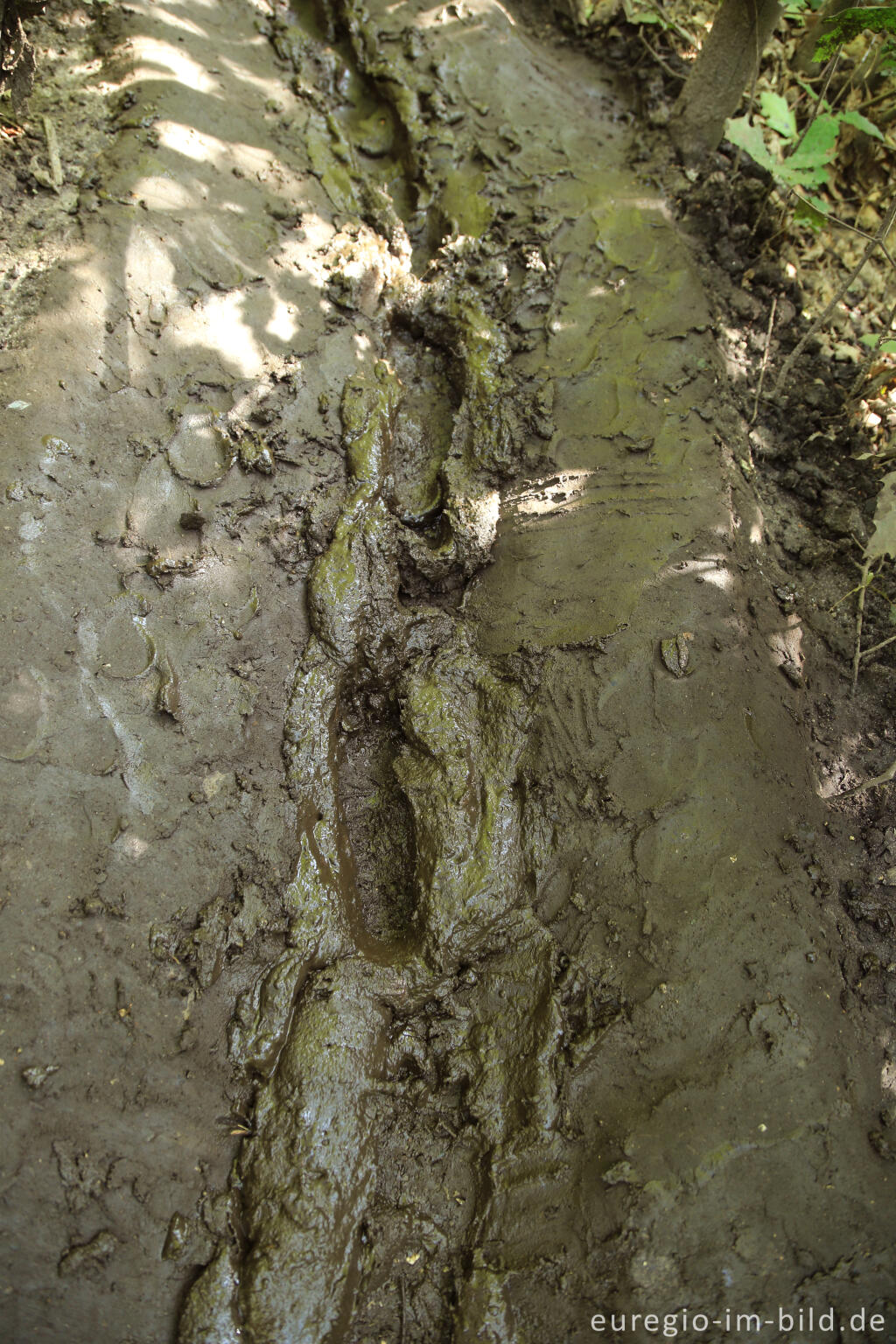 Detailansicht von Barfuß im Schutterspark in Brunssum