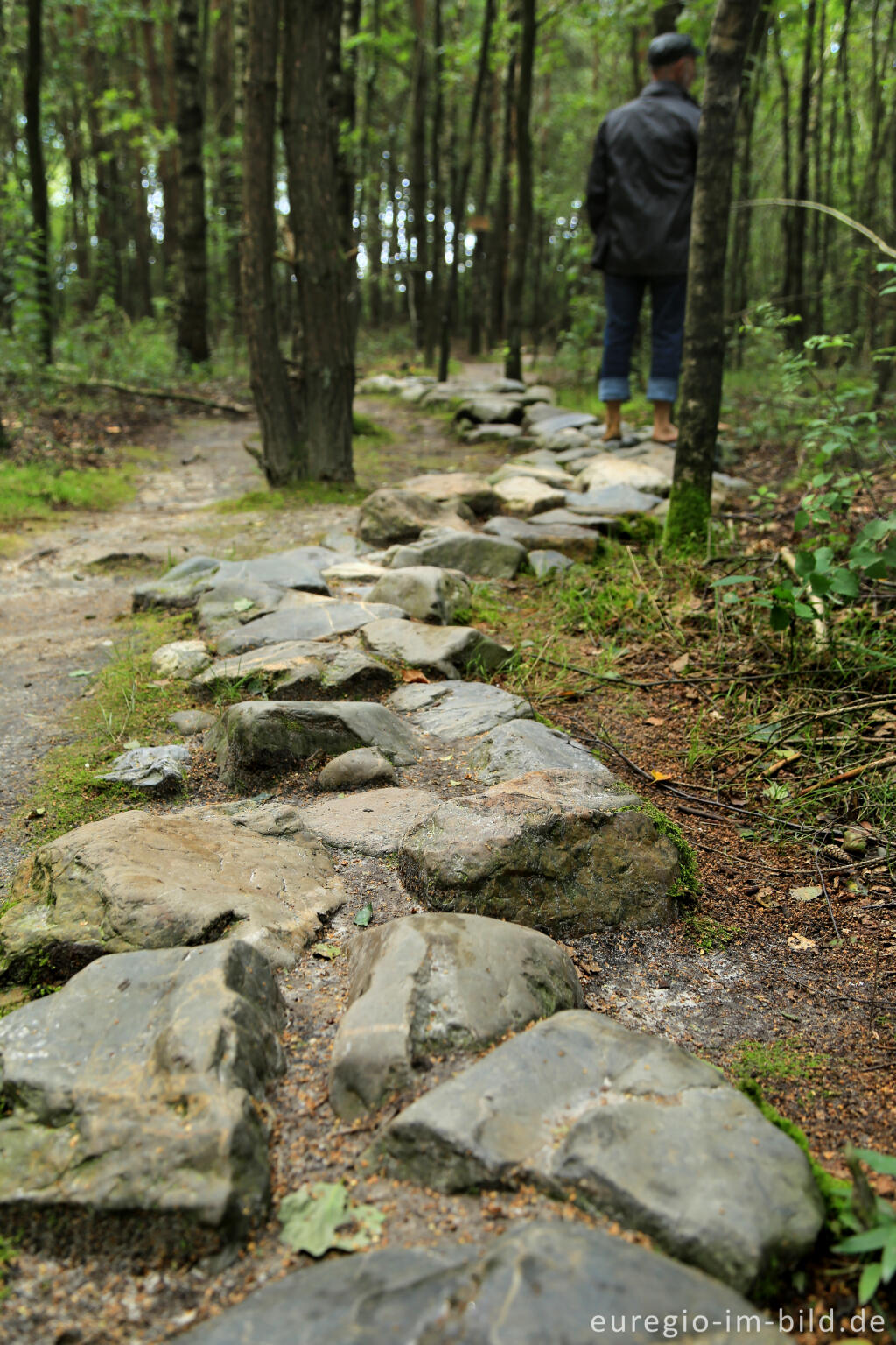 Detailansicht von Barfuß im Schutterspark in Brunssum