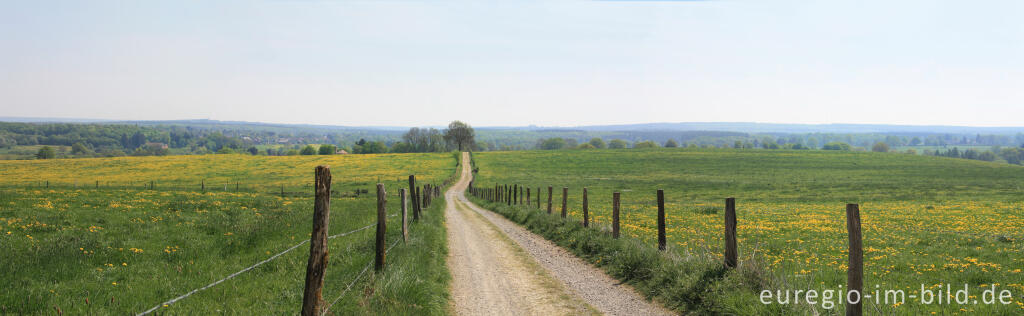 Detailansicht von Baumgartsweg und Wiesenlandschaft bei Aachen-Sief