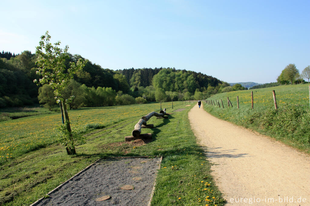 Baumstamm zum Balancieren auf dem Hillesheimer Barfußpfad im Bolsdorfer Tälchen 