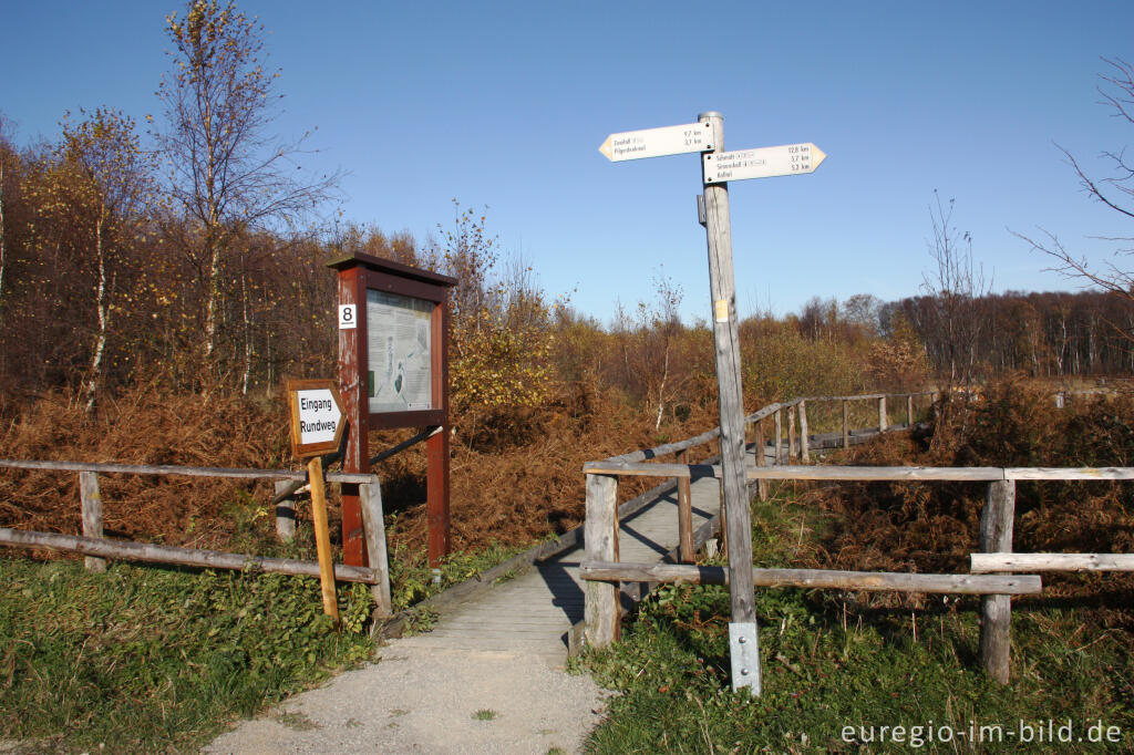 Detailansicht von Beginn des Rundwegs im Todtenbruch bei Hürtgenwald