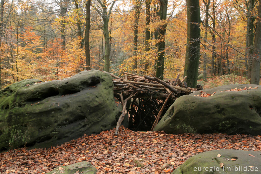 Detailansicht von Bei den Zyklopensteinen im Aachener Wald