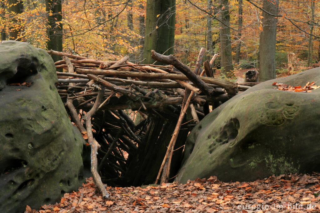 Detailansicht von Bei den Zyklopensteinen im Aachener Wald