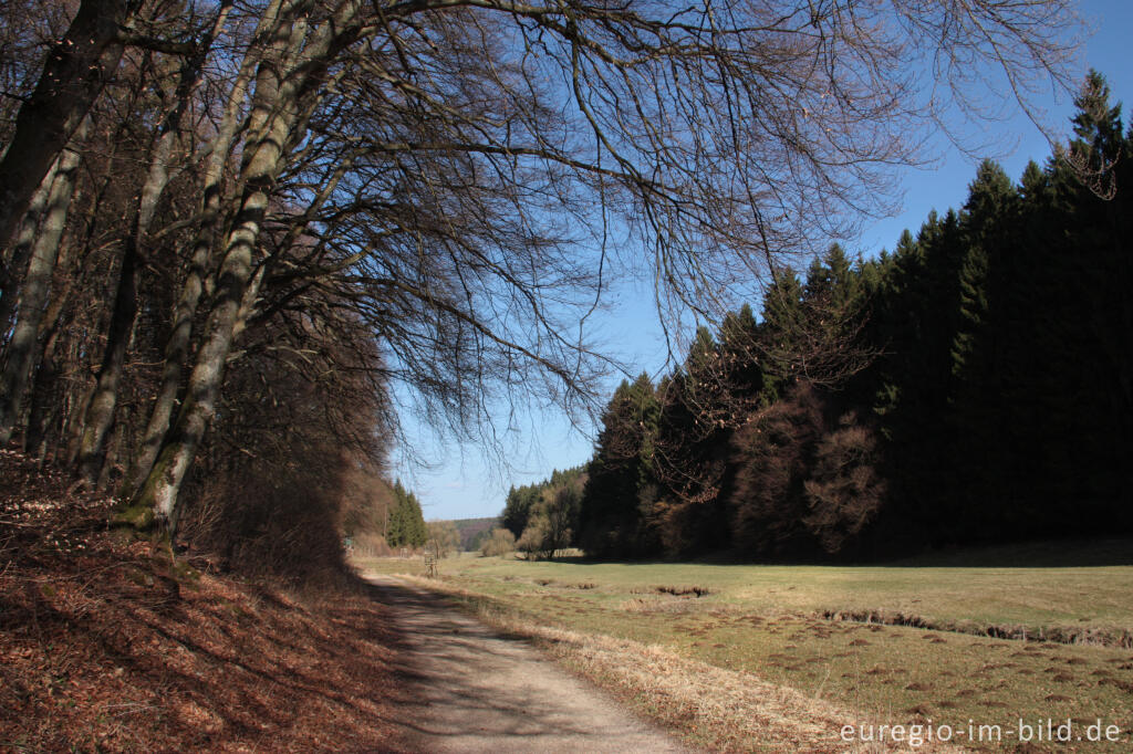 Detailansicht von Beim Lampertsbach, auf der 7. Etappe des Eifelsteigs