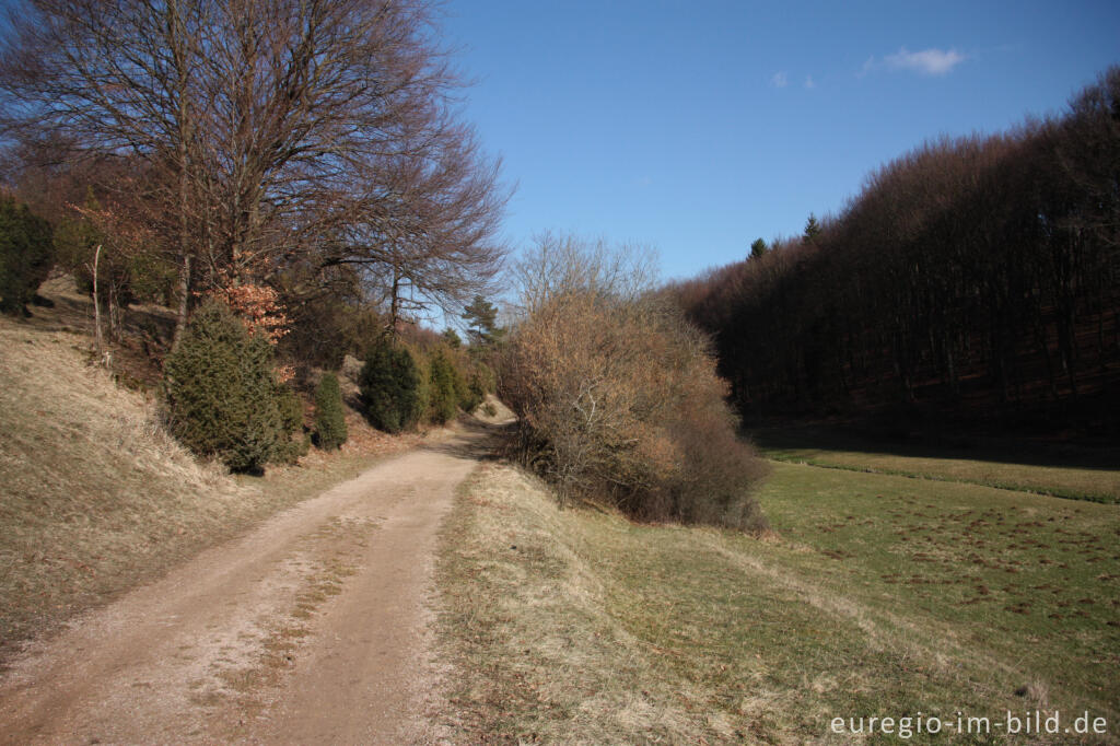 Beim Lampertsbach, auf der 7. Etappe des Eifelsteigs