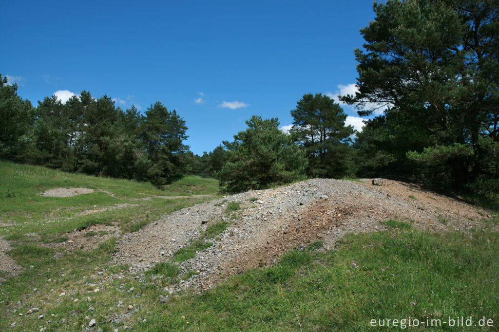 Detailansicht von Beim Schlangenberg, Breinigerheide, Nordeifel