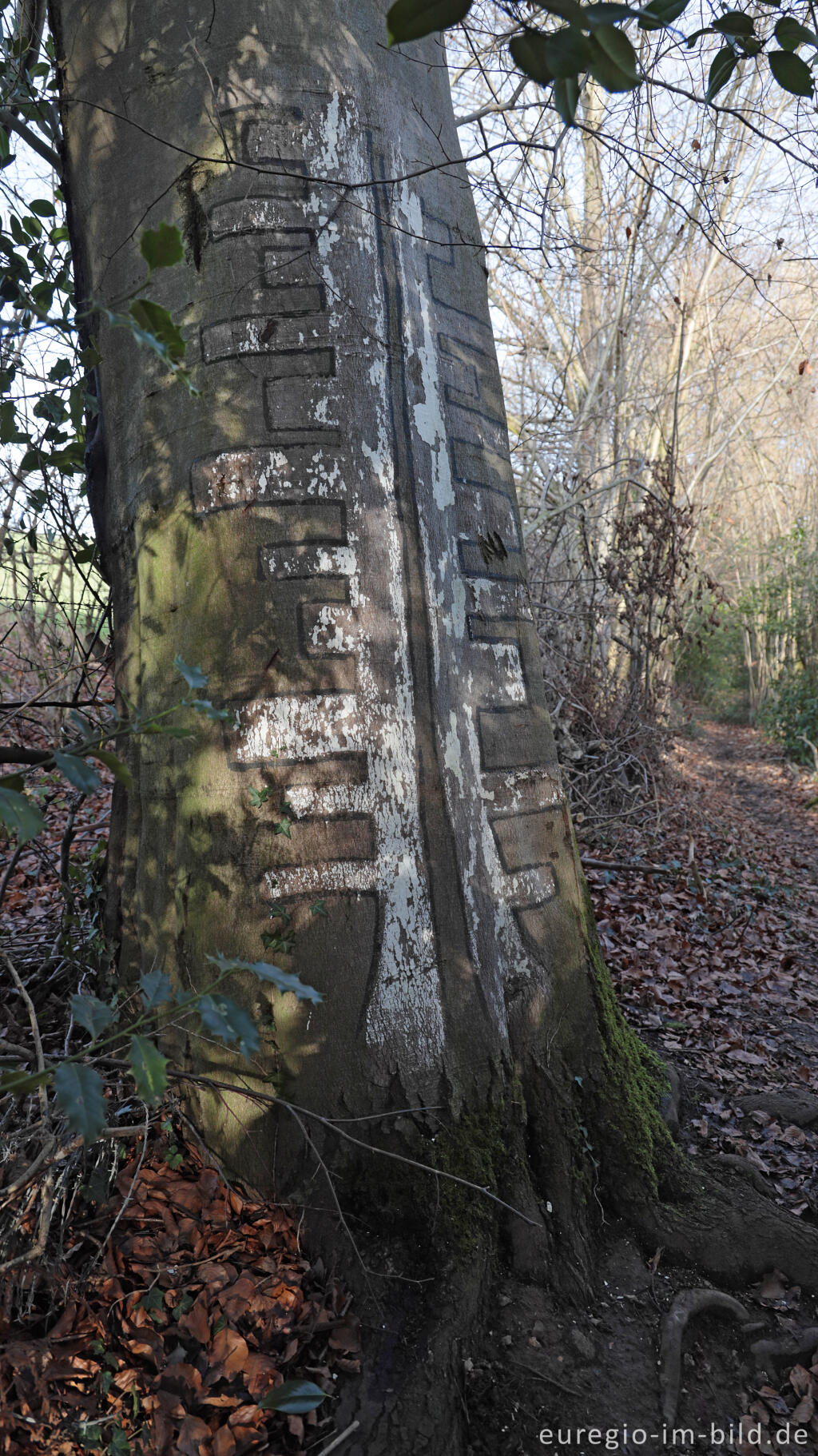 Detailansicht von Bemalter Baum am Geusenweg, Aachen, Dreiländereck