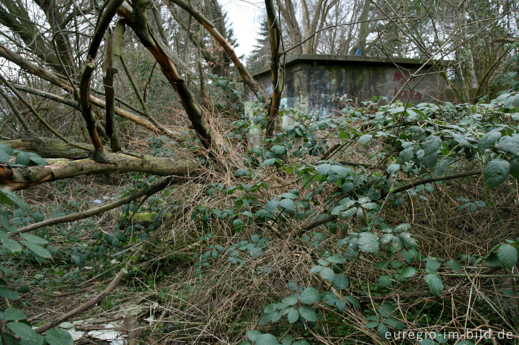 Detailansicht von Beobachtungsstand Herzogenrath-Bank, Teil des Westwalls 