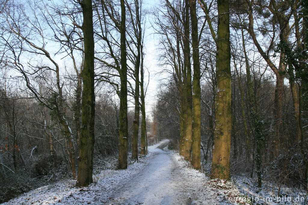 Berenbos bei Kerkrade, NL