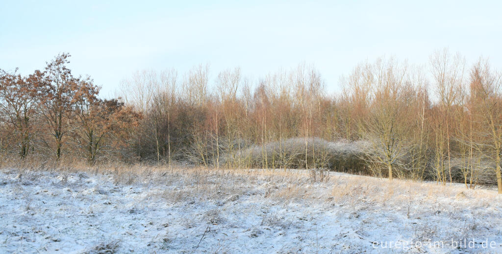 Detailansicht von Berenbos bei Kerkrade, NL