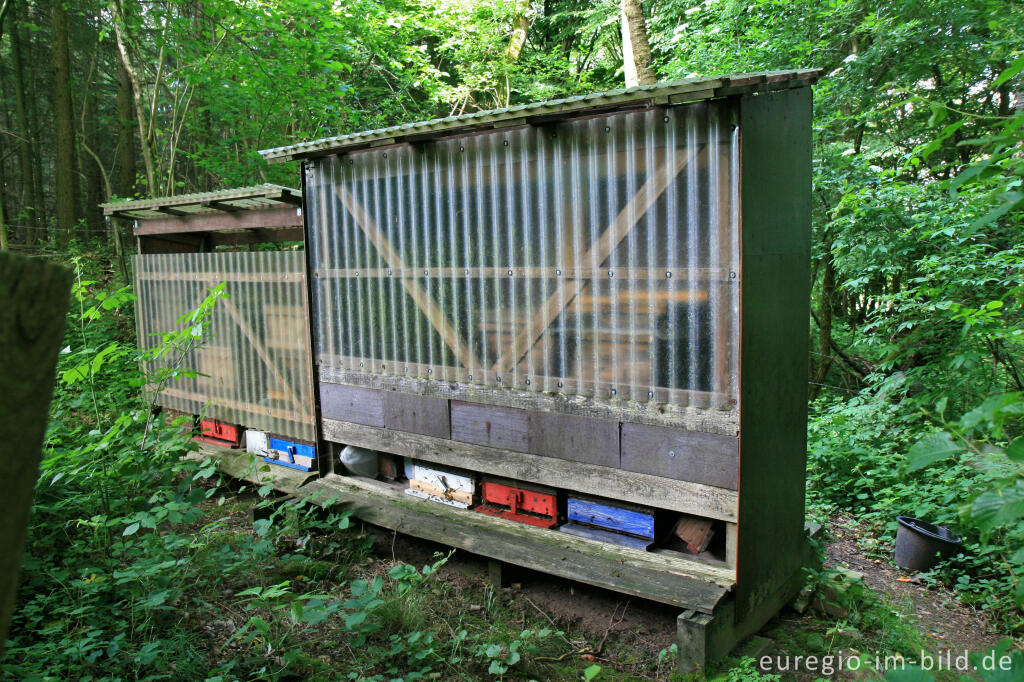 Detailansicht von Bienenstock bei Venwegen (Stolberg)