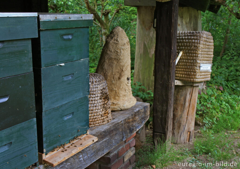 Detailansicht von Bienenstöcke im Kasteeltuin Oud-Valkenburg