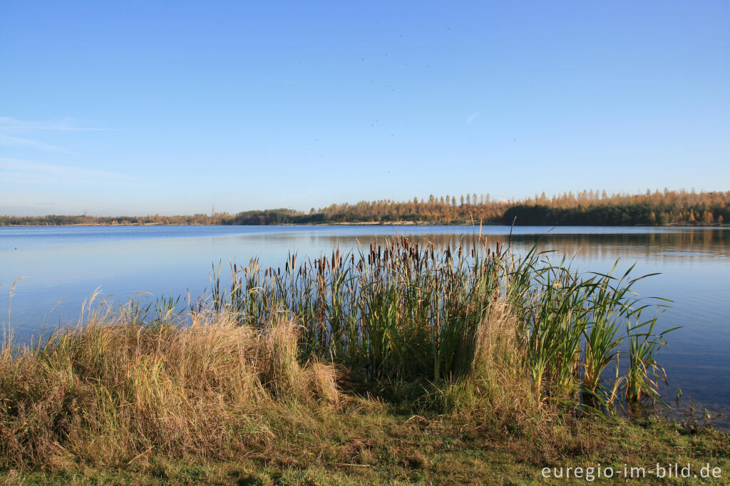 Detailansicht von Blausteinsee bei Eschweiler