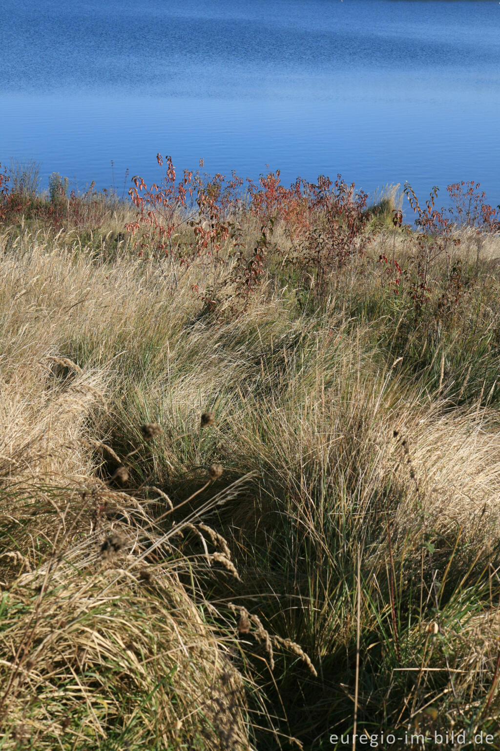 Detailansicht von Blausteinsee bei Eschweiler