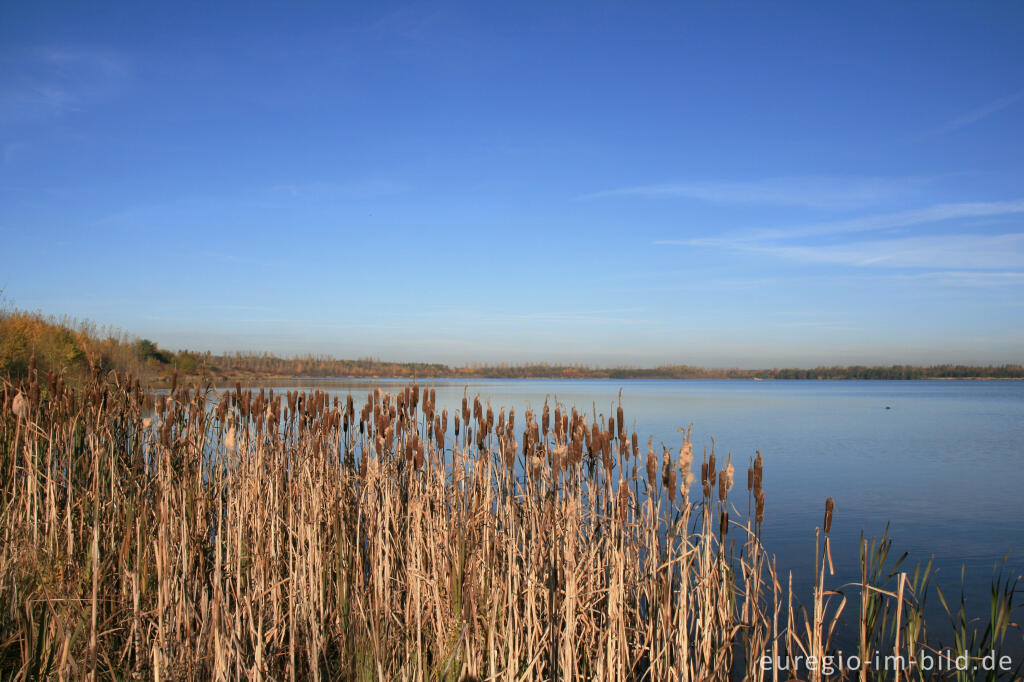 Detailansicht von Blausteinsee bei Eschweiler