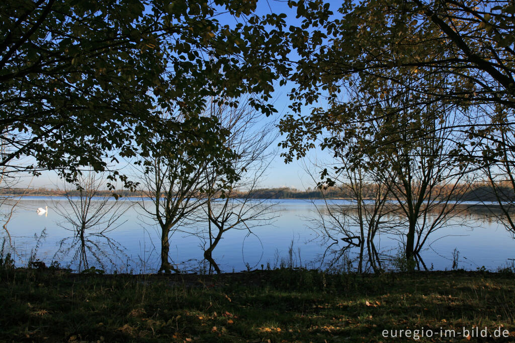 Detailansicht von Blausteinsee bei Eschweiler