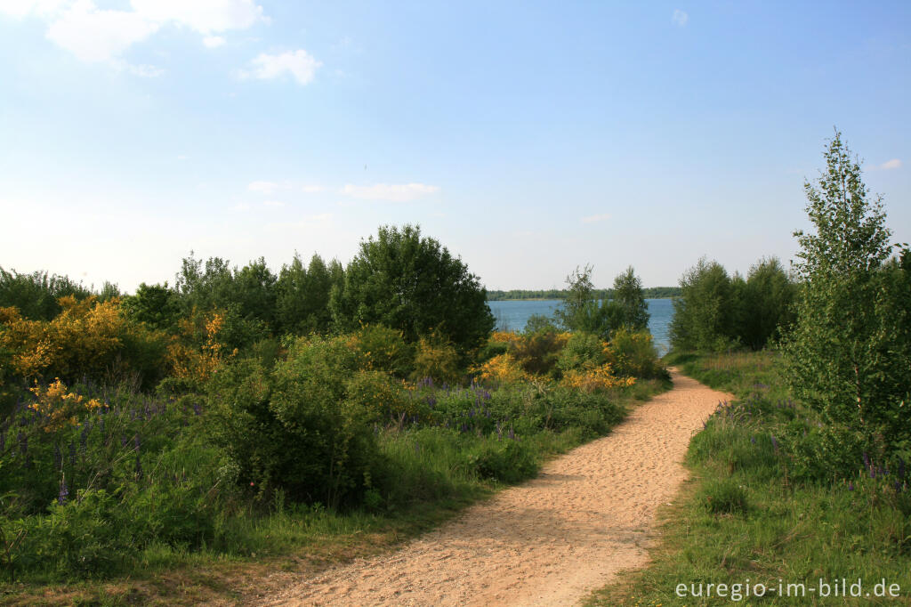 Detailansicht von Blausteinsee bei Eschweiler